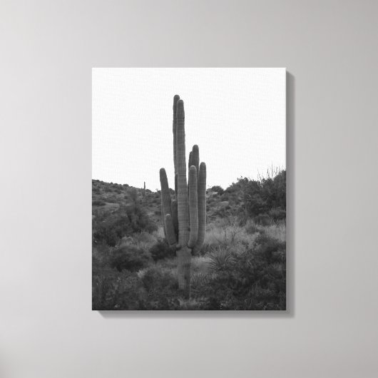 Zwart-wit Saguaro Cactus 16x20 Canvas Afdruk (Voorkant)