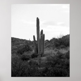 Zwart-wit Saguaro Cactus 16x20 Poster