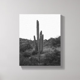 Zwart-wit Saguaro Cactus 8x10 Canvas Afdruk