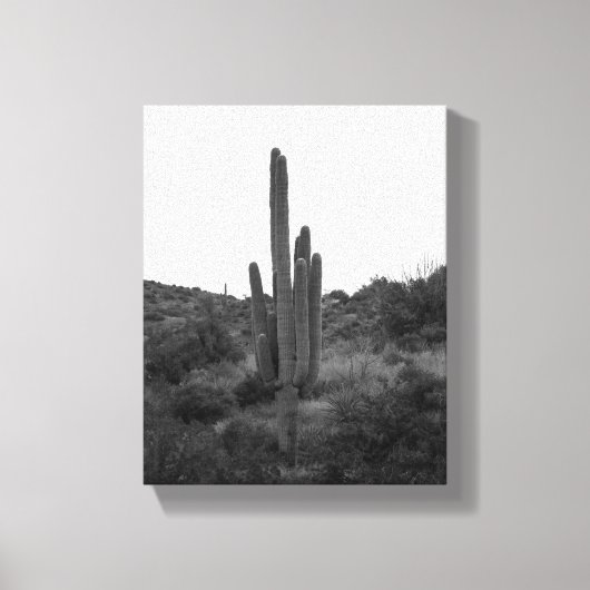 Zwart-wit Saguaro Cactus 8x10 Canvas Afdruk (Voorkant)