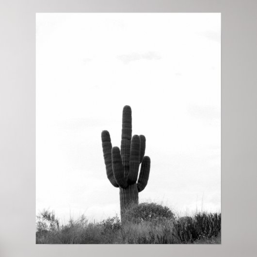 Zwart-wit Saguaro Cactus op de top van de heuvel 1 Poster (Voorkant)