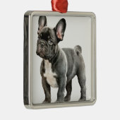 ZWART-WIT SCHATTIGEE FRANSE BULLDOG METALEN ORNAMENT (Rechts)
