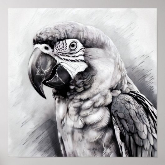 zwart-wit schets van een ara poster (Voorkant)