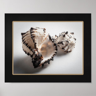 Zwart-wit Seashell Tropische afdrukbare kunst Poster