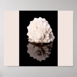 Zwart-wit Seashell Tropische afdrukbare kunst Poster