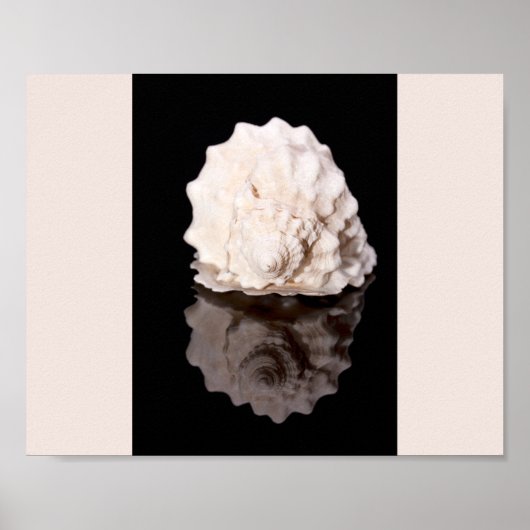 Zwart-wit Seashell Tropische afdrukbare kunst Poster (Voorkant)
