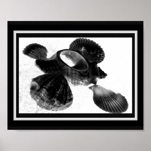 Zwart-wit Seashell Tropische afdrukbare kunst Poster (Voorkant)