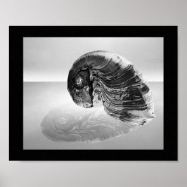 Zwart-wit Seashell Tropische afdrukbare kunst Poster