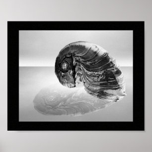Zwart-wit Seashell Tropische afdrukbare kunst Poster