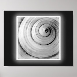 Zwart-wit Seashell Tropische afdrukbare kunst Poster