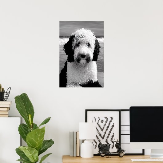 Zwart & Wit Sheepadoodle Poster (Thuiskantoor)