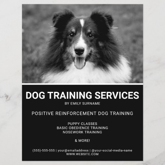 Zwart & Wit Shetland Sheepdog Foto Hondentrainer Flyer (Voorkant)