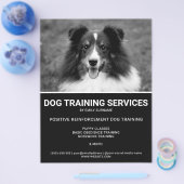 Zwart & Wit Shetland Sheepdog Foto Hondentrainer Flyer (Enkel)