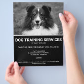 Zwart & Wit Shetland Sheepdog Foto Hondentrainer Flyer (Hand)