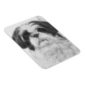 Zwart-wit Shih Tzu Art Magneet (Rechterzijde)