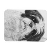 Zwart-wit Shih Tzu Art Magneet (Horizontaal)