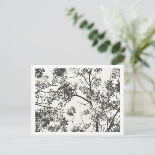 Zwart-wit Silhouet van de Boom Briefkaart (Staand voorkant)