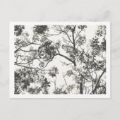 Zwart-wit Silhouet van de Boom Briefkaart (Voorkant)