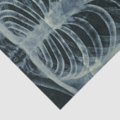 zwart-wit skelet-beeldscherm tissuepapier (Detail)