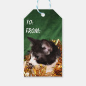 Zwart-wit smoking kat Kerst Cadeaulabel (Voorkant)