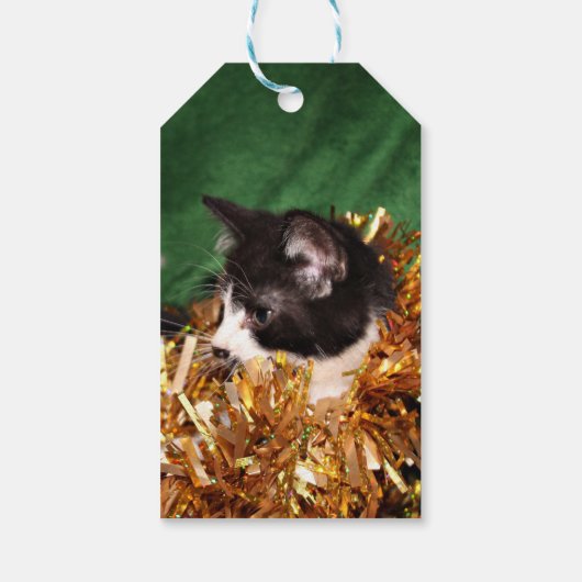 Zwart-wit smoking kat Kerst Cadeaulabel (Achterkant)