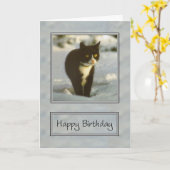 Zwart-wit sneeuwkitten Gelukkige verjaardag Kaart (Gele Bloem)