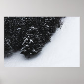 Zwart-wit sparrenbos en sneeuw poster (Voorkant)