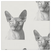 Zwart-wit Sphynx Cat Portret Stof (Close Up)