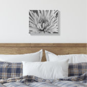 Zwart-Wit Spinne Chrysanthemum Bloem Canvas Afdruk (Insitu (Slaapkamer))