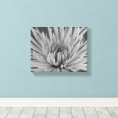 Zwart-Wit Spinne Chrysanthemum Bloem Canvas Afdruk (Insitu (Houten vloer))