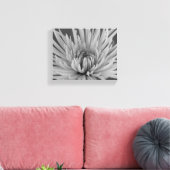 Zwart-Wit Spinne Chrysanthemum Bloem Canvas Afdruk (Insitu (Woonkamer))