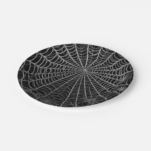 Zwart & Wit Spinnenwebben Spinnenweb Halloween Papieren Bordje (Gekanteld)