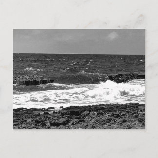 Zwart-wit Standaard Briefkaart Mailing Kaarten