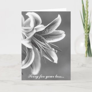 Zwart-wit ster Lillie Sympathy Card Kaart