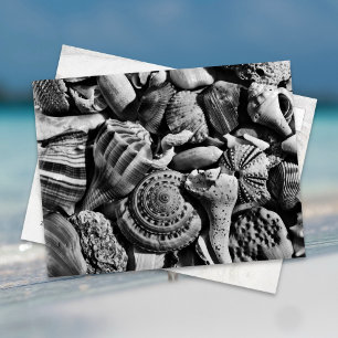 Zwart-wit strand schelpen ansichtkaart briefkaart