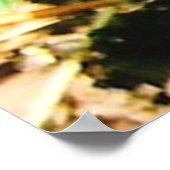 Zwart Wit Swallowtail Vlinder Foto Posters (Hoek)