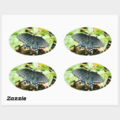 Zwart Wit Swallowtail Vlinder Foto Stickers (Vel)