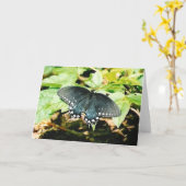 Zwart Wit Swallowtail Vlinder Wenskaarten Kaart (Gele Bloem)