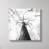 Zwart-wit Tall Trees Forest Canvas Afdruk (Voorkant)