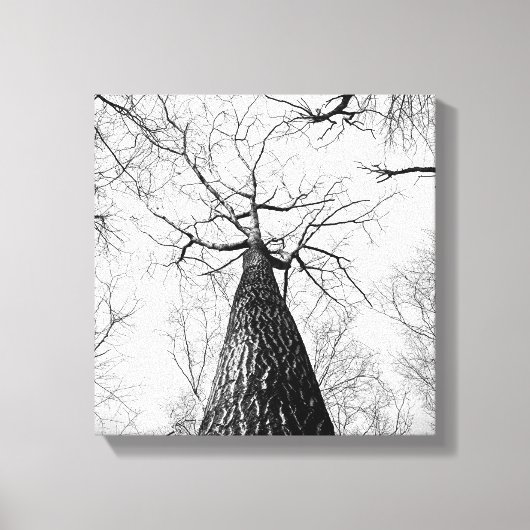 Zwart-wit Tall Trees Forest Canvas Afdruk (Voorkant)