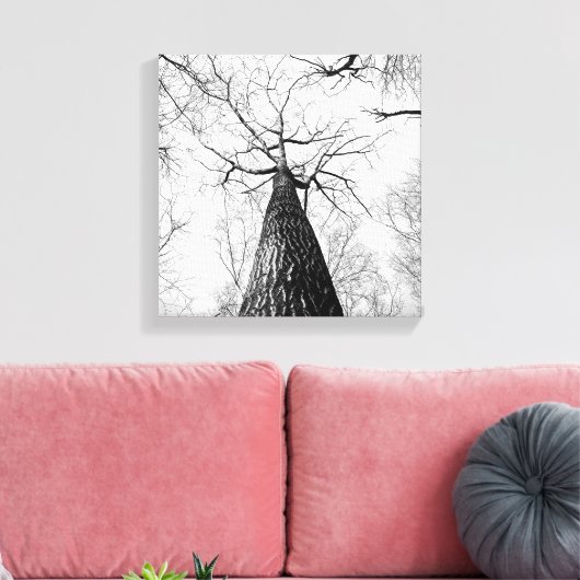 Zwart-wit Tall Trees Forest Canvas Afdruk (Insitu (Woonkamer))