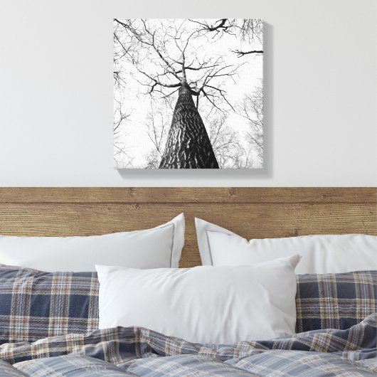 Zwart-wit Tall Trees Forest Canvas Afdruk (Insitu (Slaapkamer))