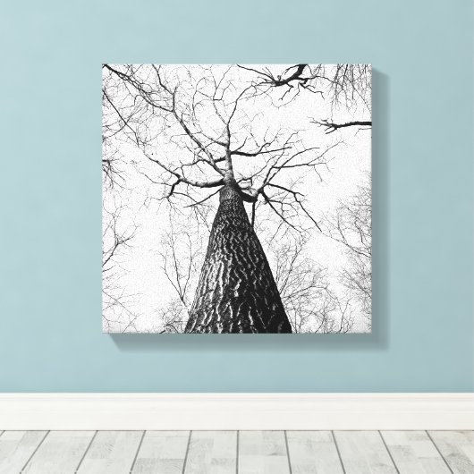 Zwart-wit Tall Trees Forest Canvas Afdruk (Insitu (Houten vloer))