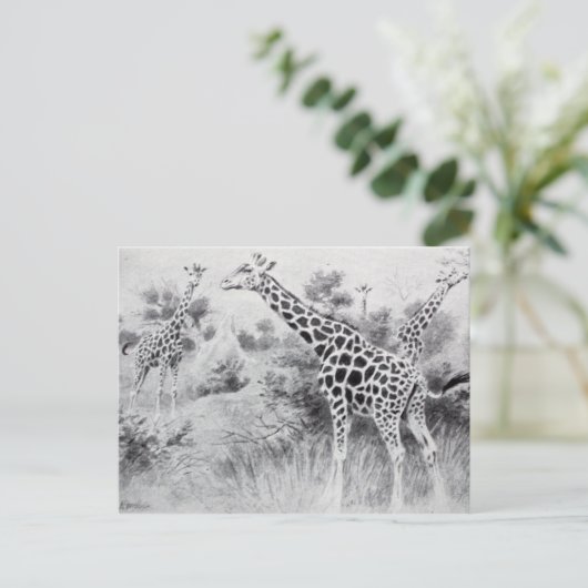  zwart-wit tekening Giraffe Briefkaart (Staand voorkant)