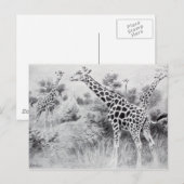  zwart-wit tekening Giraffe Briefkaart (Voorkant / Achterkant)