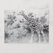  zwart-wit tekening Giraffe Briefkaart (Voorkant)