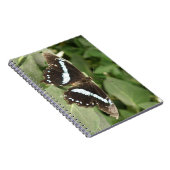 Zwart-Wit Tropisch Vlinder Notitieboek (Rechterzijde)