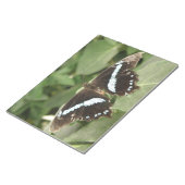 Zwart-wit tropisch vlinderblok notitieblok (Schuin)