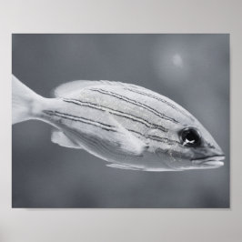 Zwart-wit Tropische Vis Printable Art Poster