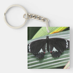 Zwart & Wit Tropische Vlinder Acryl Sleutelhanger